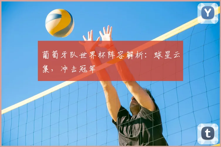 葡萄牙队世界杯阵容解析：球星云集，冲击冠军