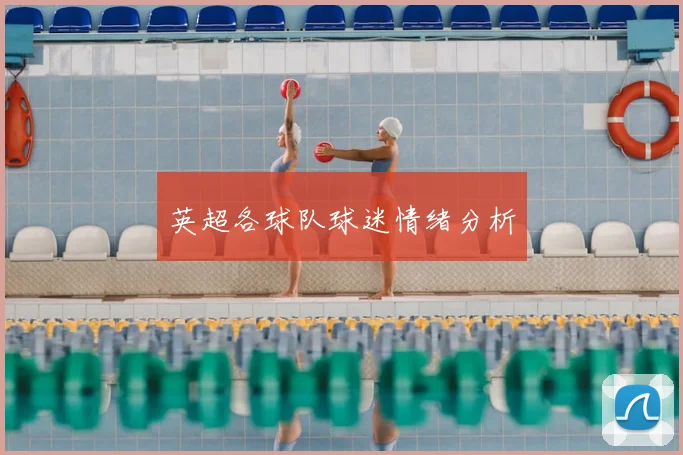 英超各球队球迷情绪分析